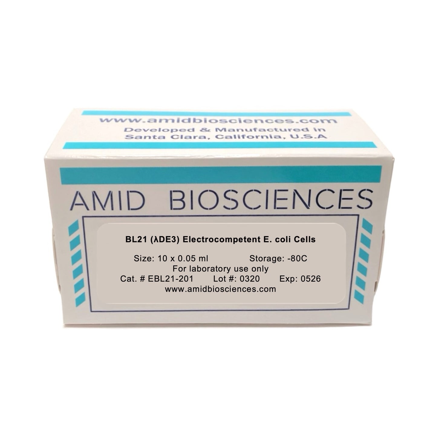 BL21(DE3) Electrocompetent E.coli Cells | High Yield Recombinant Protein