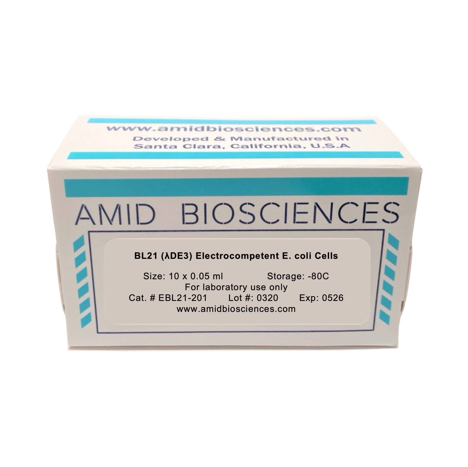 BL21(DE3) Electrocompetent E.coli Cells | High Yield Recombinant Protein