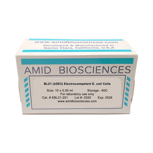 BL21(DE3) Electrocompetent E.coli Cells | High Yield Recombinant Protein