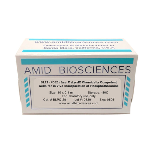 BL21(λDE3) ΔserC ΔycdX Chemically Competent Cells for In Vivo Incorporation of Phosphothreonine I Amid Biosciences | Protein Phosphorylation | Protein Expression | Phosphothreonine