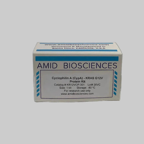 Amid Biosciences Cyclophilin A (CypA) - KRAS G12V Protein Kit box packaging showing storage at -80C