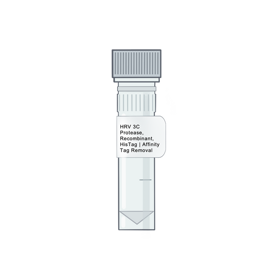 HRV 3C Protease, Recombinant, HisTag | Affinity Tag Removal - Proteases