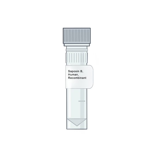 Saposin B, Human, Recombinant - Recombinant Protein | Cryo-electron microscopy