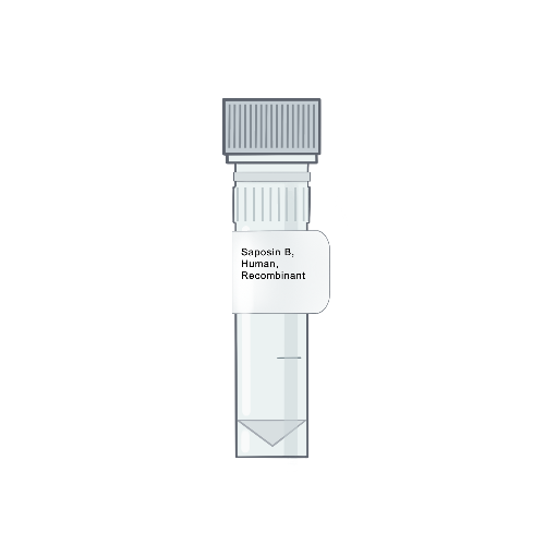 Amid Biosciences' illustration of a laboratory microtube vial with a custom label for purified recombinant human Saposin B protein, optimized for cryo-electron microscopy (cryo-EM) lipid scaffolding.