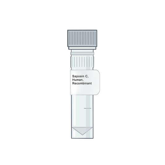Saposin C, Human, Recombinant - Recombinant Protein | Cryo-electron microscopy