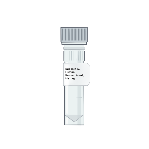 Amid Biosciences' illustration of a laboratory microtube vial with a custom label for purified recombinant human Saposin C protein featuring a C-terminal His-tag, optimized for lysosomal enzyme research and lipid-binding assays.
