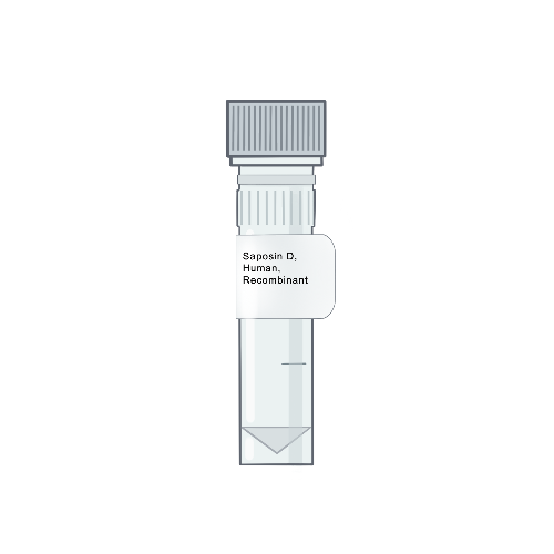 Amid Biosciences' illustration of a laboratory microtube vial with a custom label for purified recombinant human Saposin D protein, optimized for acid ceramidase assays and ceramide metabolism research.