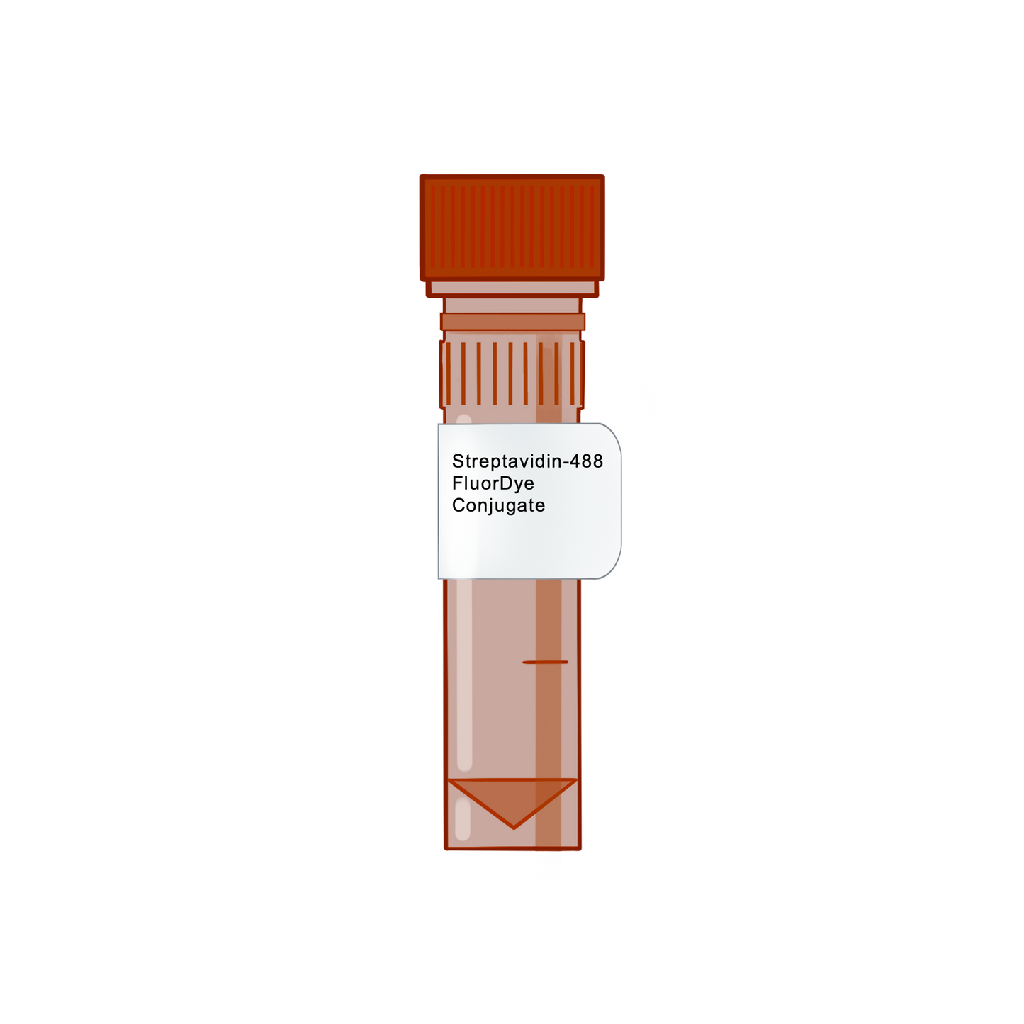 Streptavidin-488 FluorDye Conjugate - Biotinylation Tools & Streptavidins