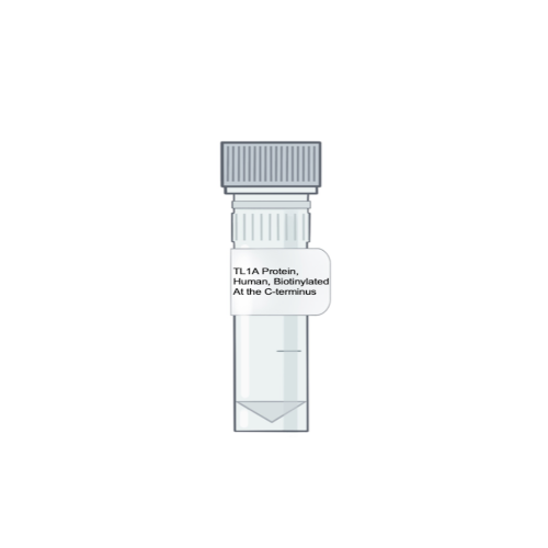 Amid Biosciences' illustration of a laboratory microtube vial with a custom label for purified recombinant human TL1A protein, precision C-terminal biotinylated variant.