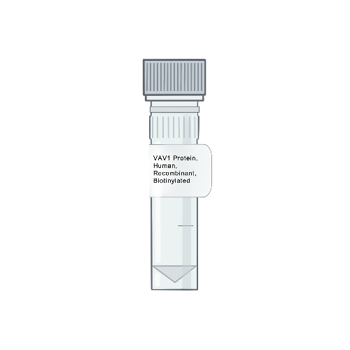 Amid Biosciences' illustration of a laboratory microtube vial with a custom label for purified recombinant human VAV1 protein, biotinylated variant.