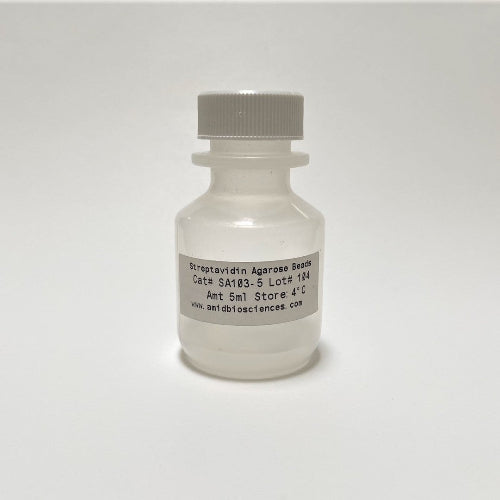 Recombinant Streptavidin Agarose Beads 5 mL vial for affinity chromatography purification - Amid Biosciences