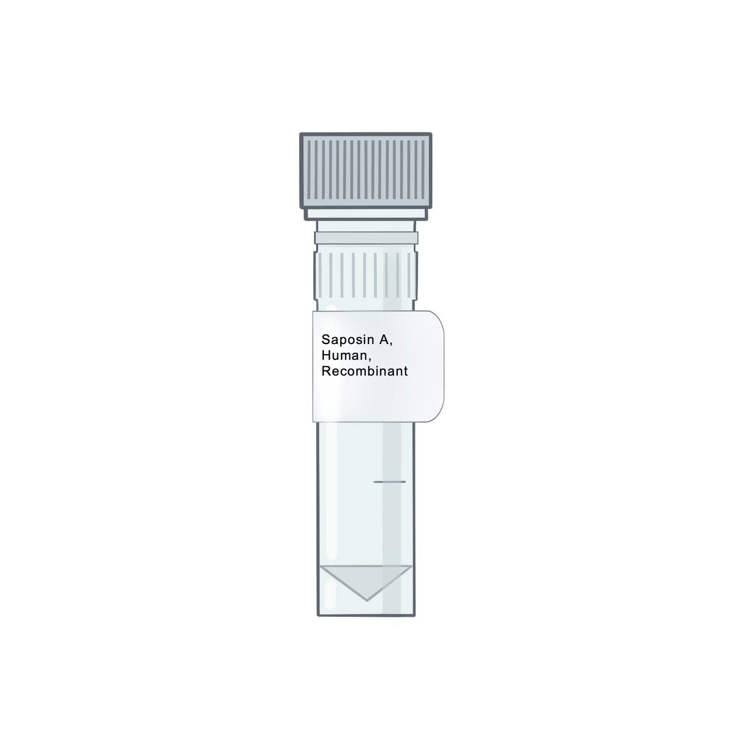 Saposin C, Human, Recombinant |Amid Biosciences