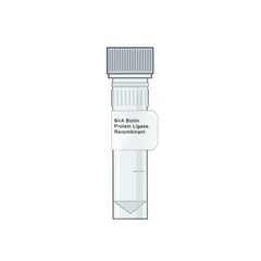 Biotinylation Tools and Streptavidins