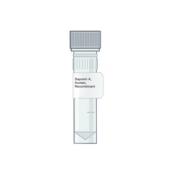 Sphingolipid Activator Proteins | Saposins