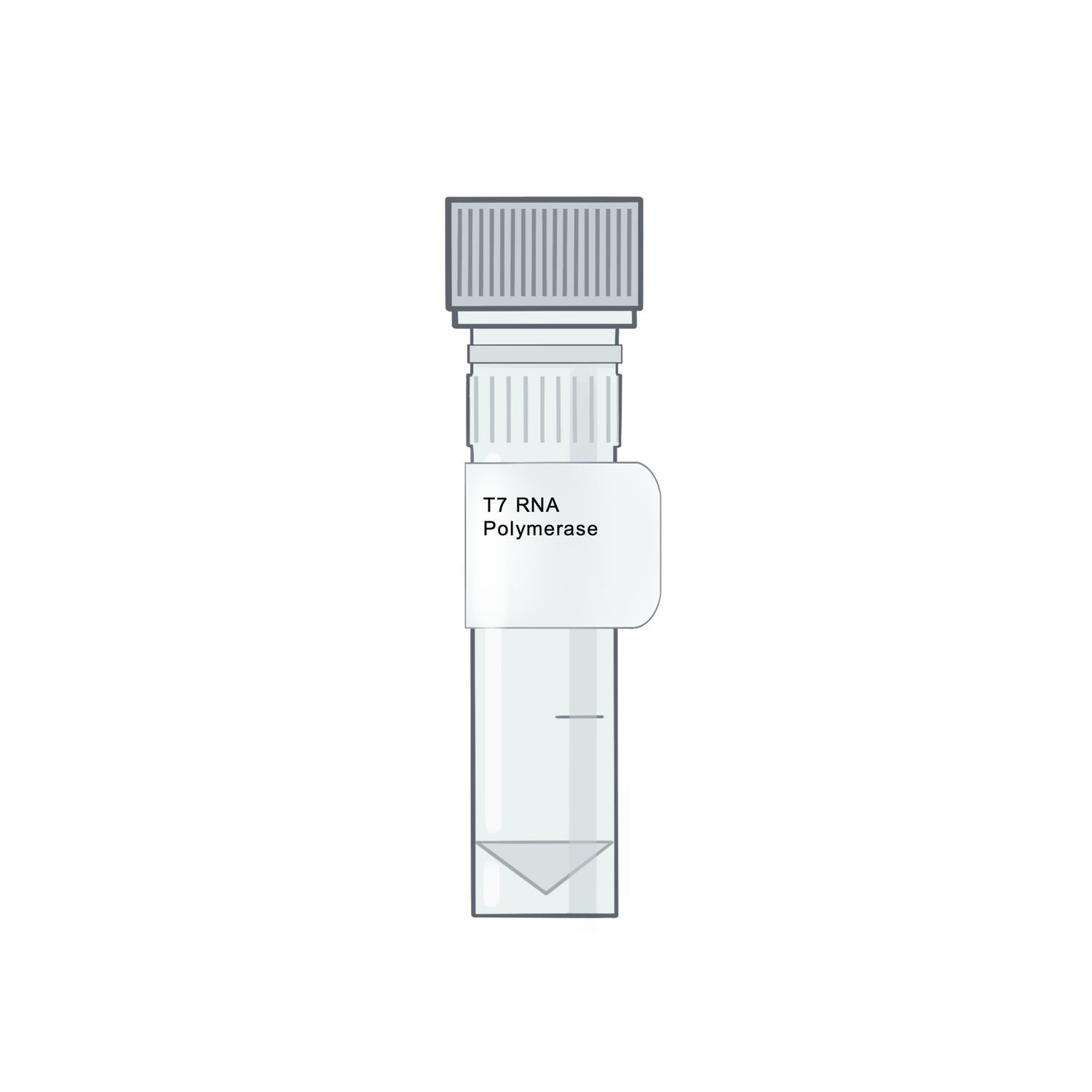Polymerases and PCR
