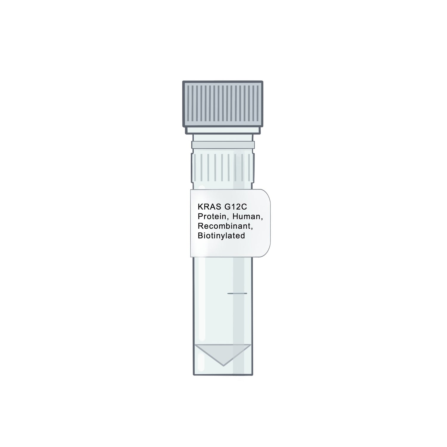 RAS Proteins | Cancer Drug Discovery