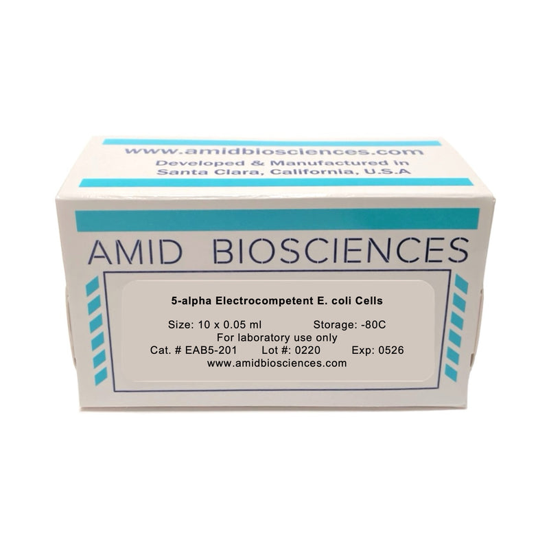 5-alpha Electrocompetent E. coli Cells | High Efficiency Transformation