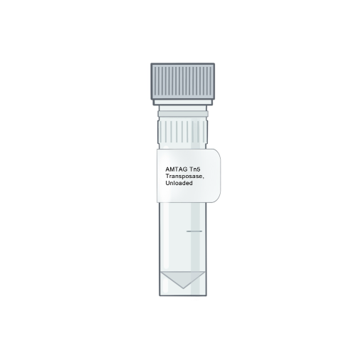 An image of clear, vertical scientific test tube with a screw cap, featuring a clean white label that reads "AMTAG Tn5 Transposase, Unloaded" against a solid white background - Amid Biosciences.