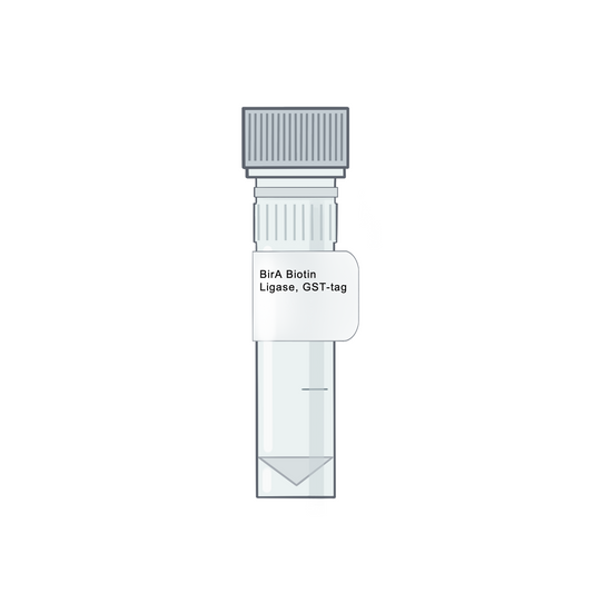 BirA Biotin Ligase, GST-tag - Biotinylation Tools & Streptavidins