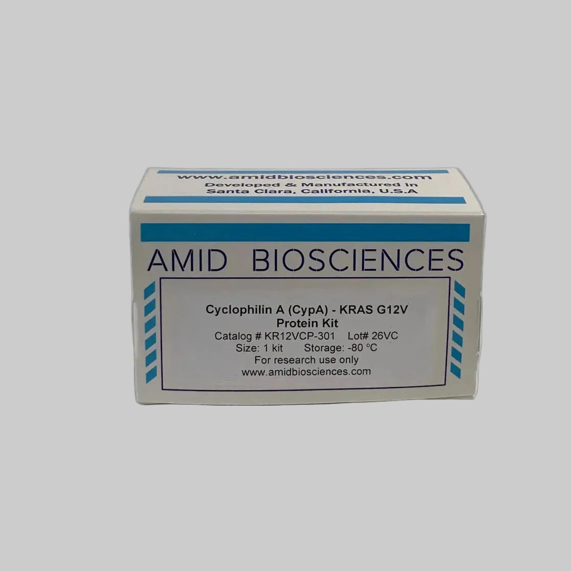 Cyclophilin A (CypA) - KRAS G12V Protein Kit | Cancer Drug Discovery | Molecular Glue Discovery | Amid Biosciences