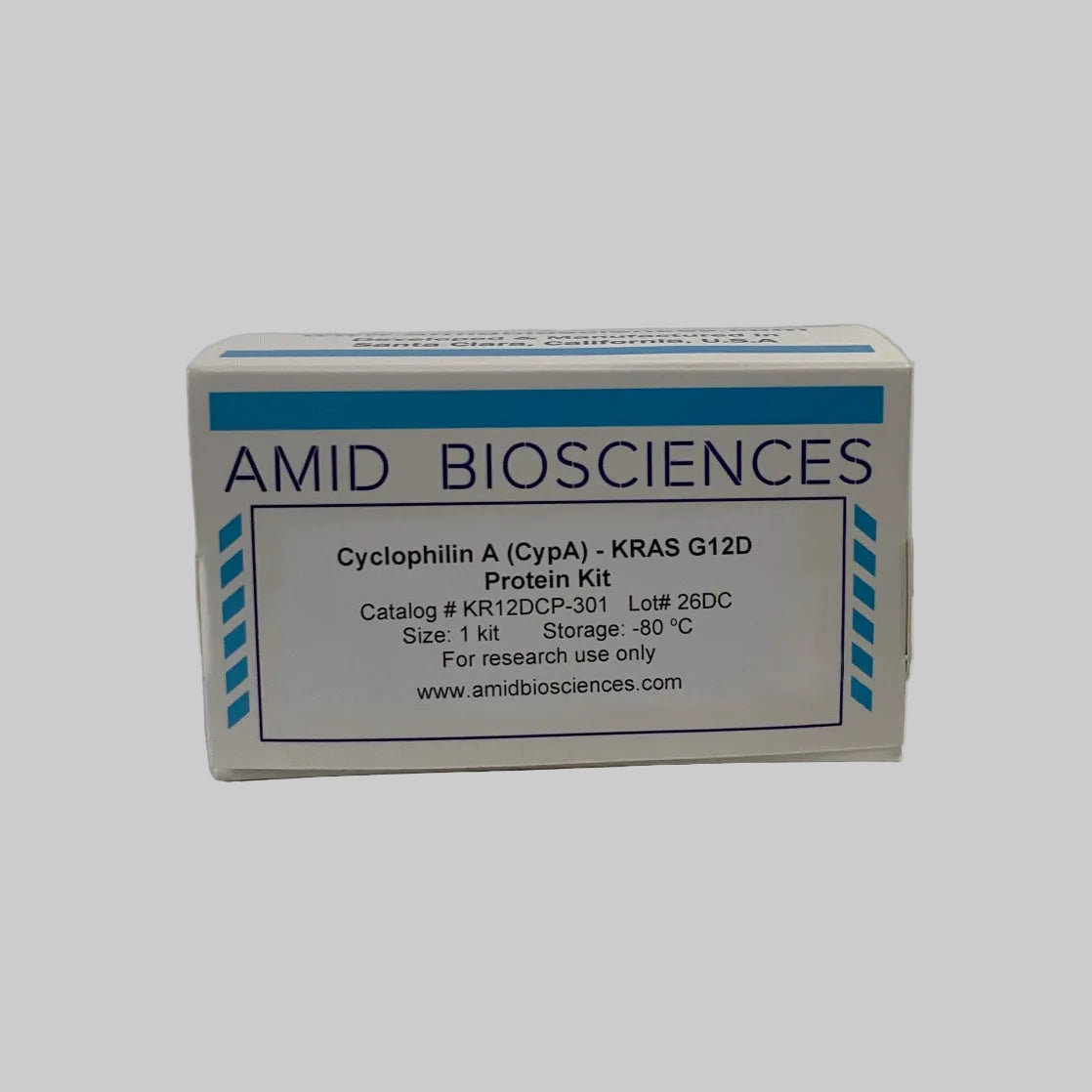 Cyclophilin A (CypA) - KRAS G12D Protein Kit | Cancer Drug Discovery | Molecular Glue Discovery | Amid Biosciences