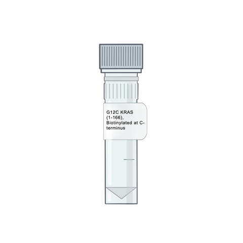 G12C KRAS(1-166), Biotinylated at the C-terminus - RAS Proteins