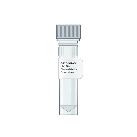 G12D KRAS (1-166), Biotinylated at the C-terminus - RAS Proteins