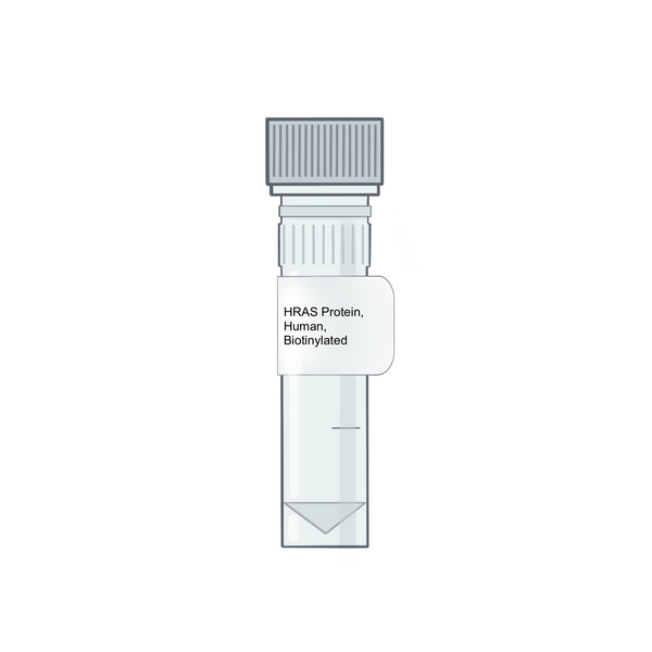 Hra Color Code HRAS Protein, Human, Biotinylated – Amid Biosciences