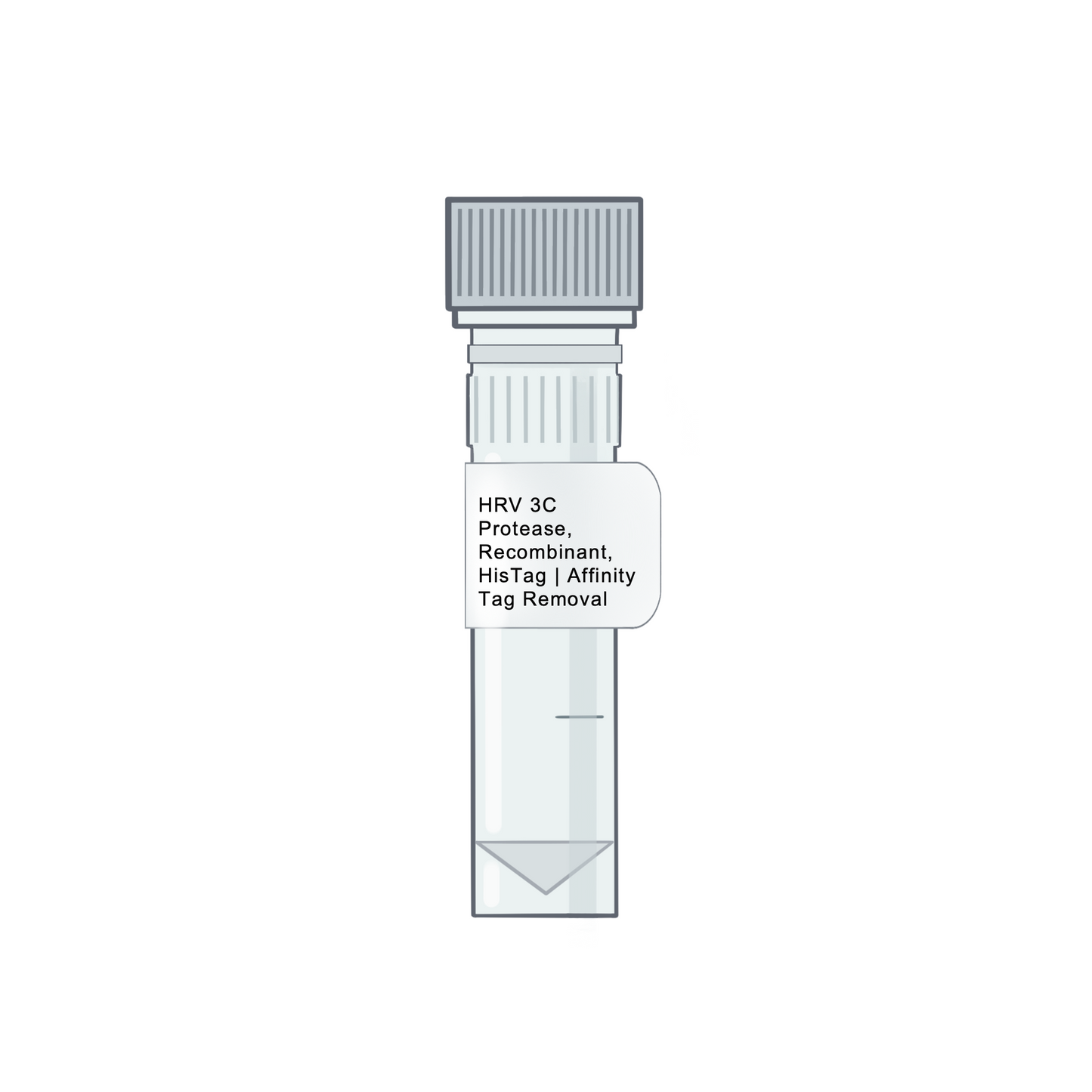 HRV 3C Protease, Recombinant, HisTag | Affinity Tag Removal - Proteases