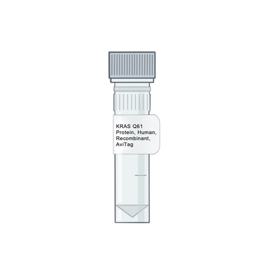 Image of a vial with white label KRAS Q61 protein human recombinant avitag