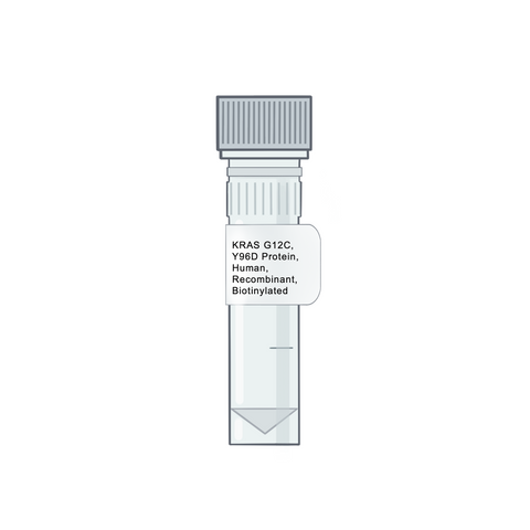 KRAS G12C, Y96D Protein, Human, Recombinant, Biotinylated - RAS Proteins