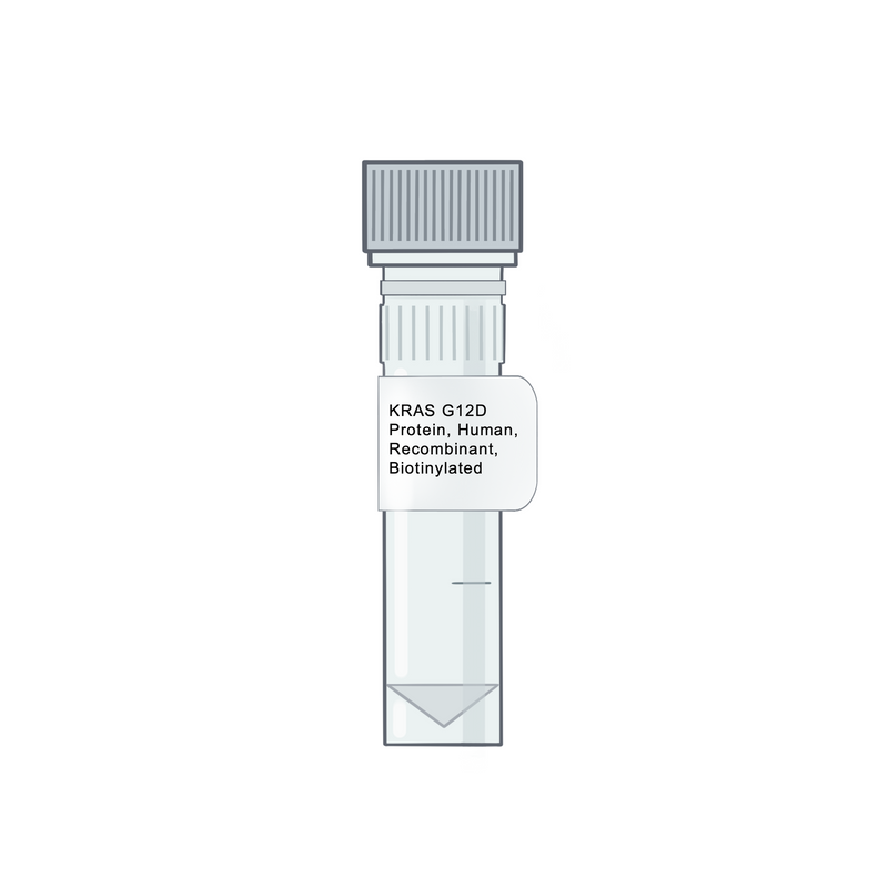 KRAS G12D Protein, Human, Recombinant, Biotinylated
