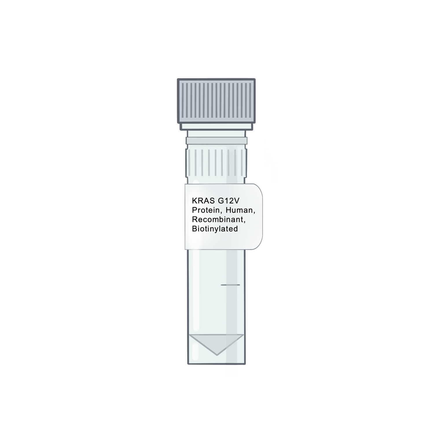 Vial of KRAS G12V Protein, Human, Recombinant, Biotinylated - Amid Biosciences