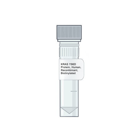 KRAS Y96D Protein, Human, Recombinant, Biotinylated - RAS Proteins