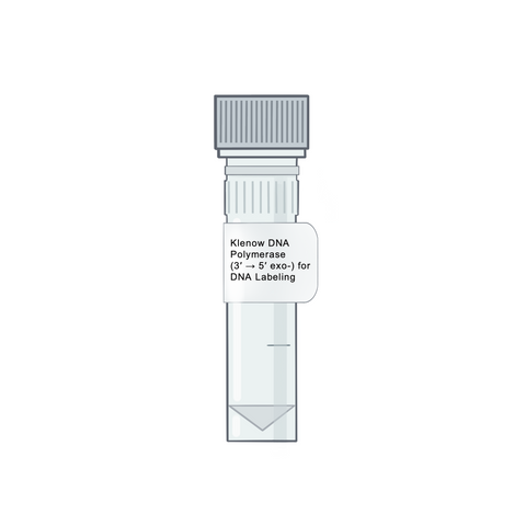 Klenow DNA Polymerase (3′ → 5′ exo-) for DNA Labeling - Polymerases & PCR