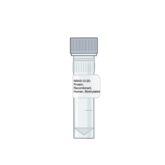 NRAS_G12D_Protein_Recombinant_Human_Biotinylated | Amid Biosciences