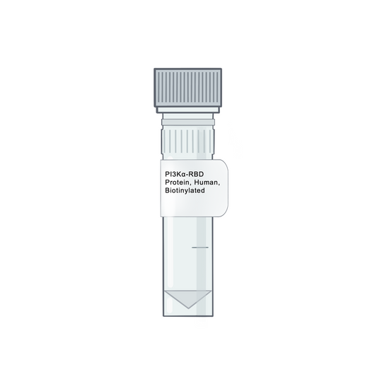PI3K_-RBD Protein, Human, Biotinylated - RAS Protein