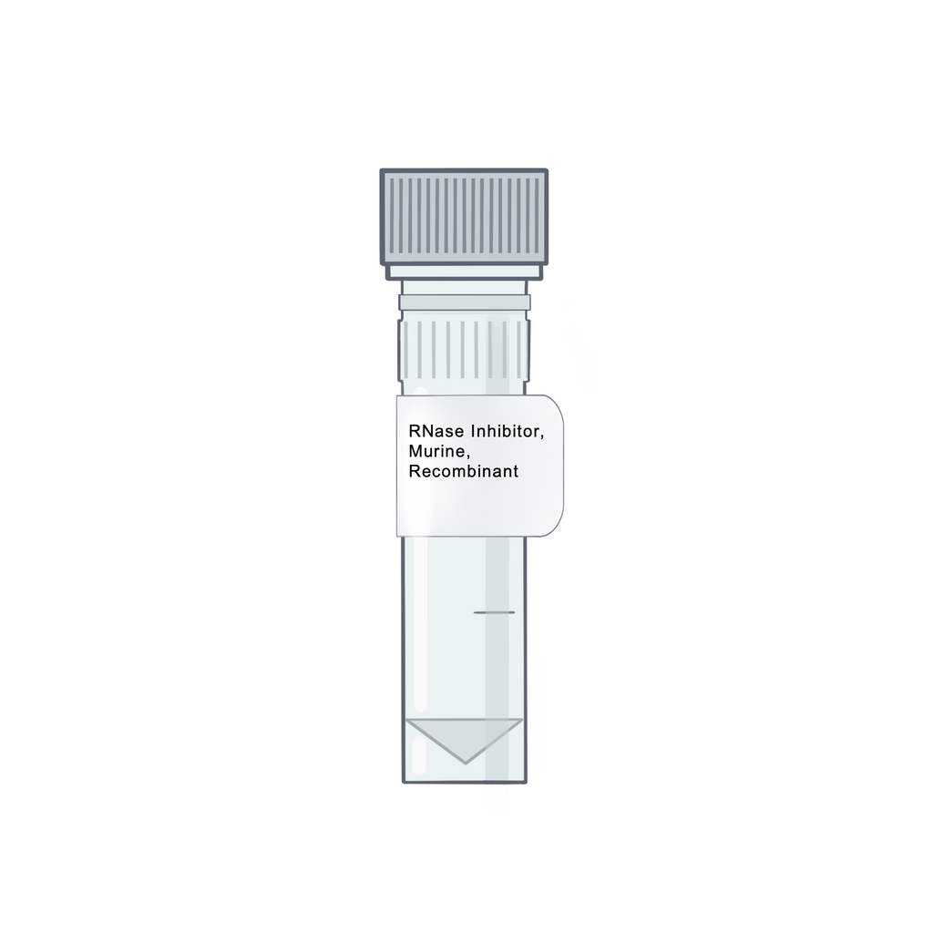 RNase Inhibitor, Murine, Recombinant - Recombinant Protein