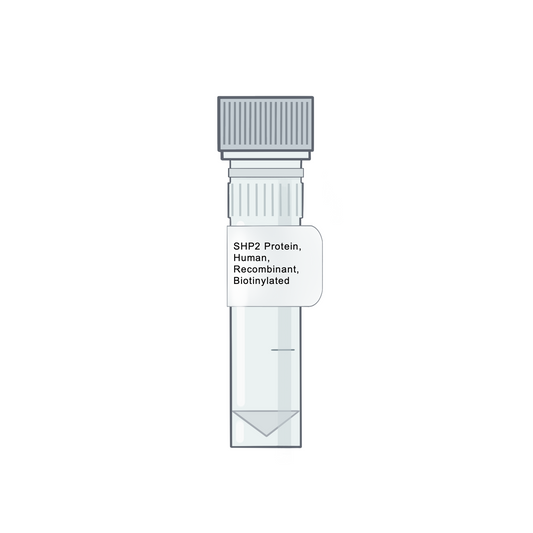An image of a test tube labeled with 'SHP2 Protein, Human, Recombinant, Biotinylated' 