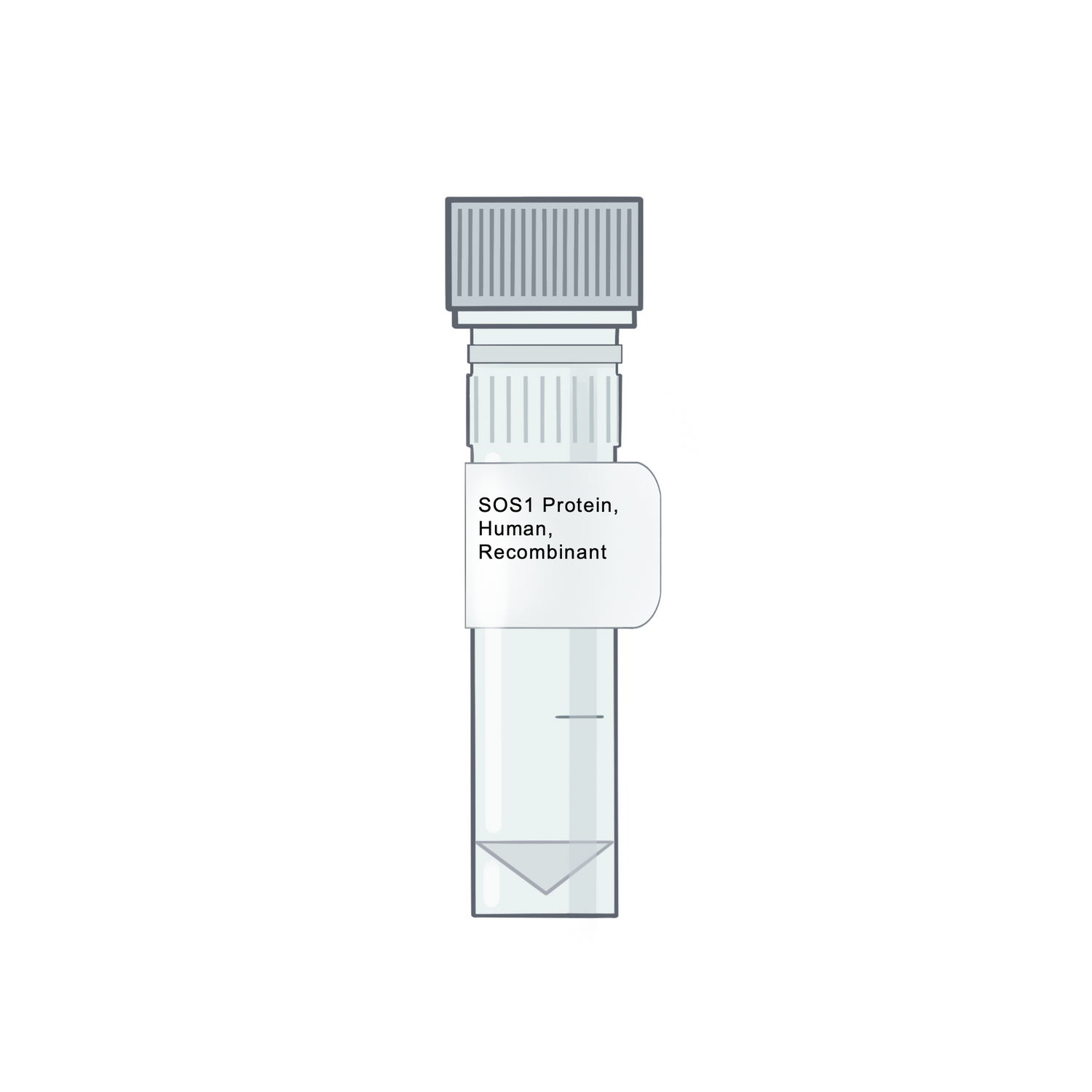 Microcentrifuge tube of Active Recombinant Human SOS1 Protein - Amid Biosciences