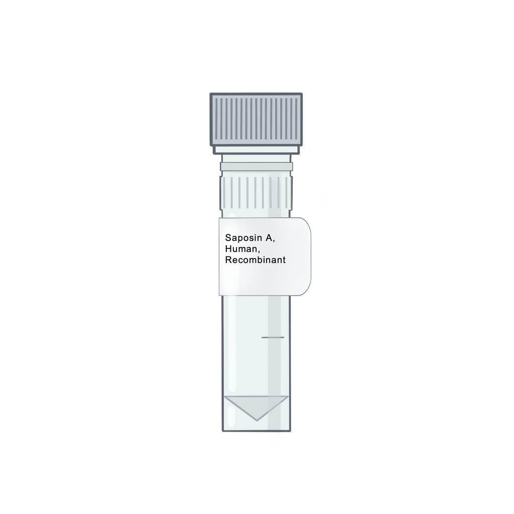 Saposin A, Human, Recombinant - Recombinant Protein | Cryo-electron microscopy