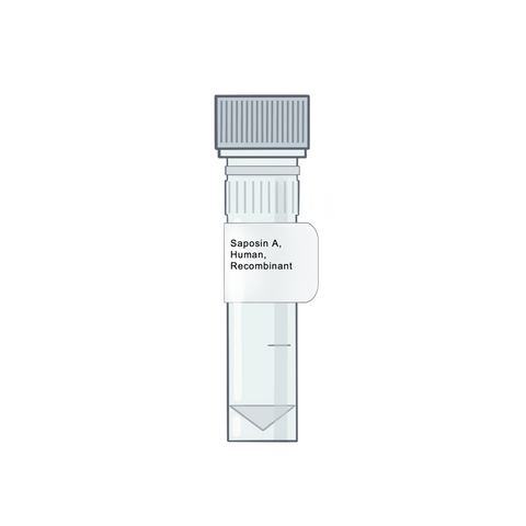 Saposin A, Human, Recombinant - Recombinant Protein