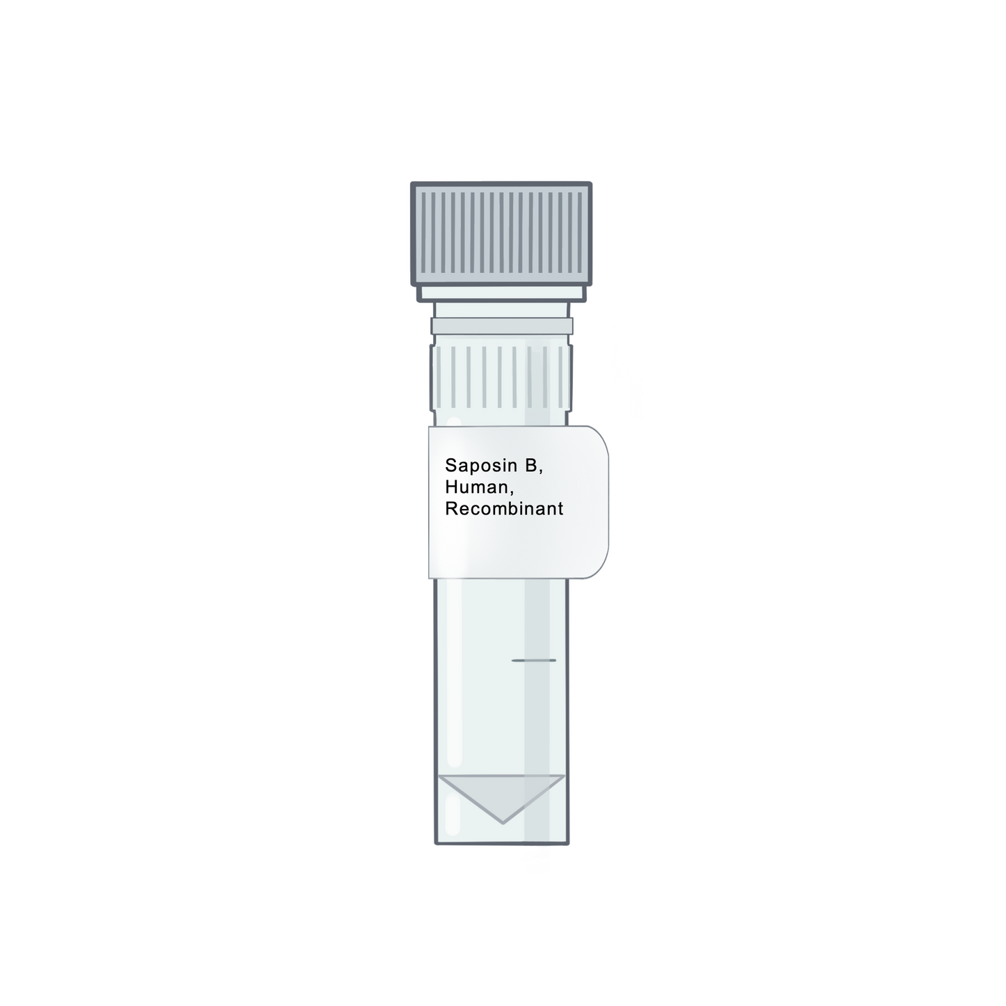 Saposin B, Human, Recombinant - Recombinant Protein | Cryo-electron microscopy
