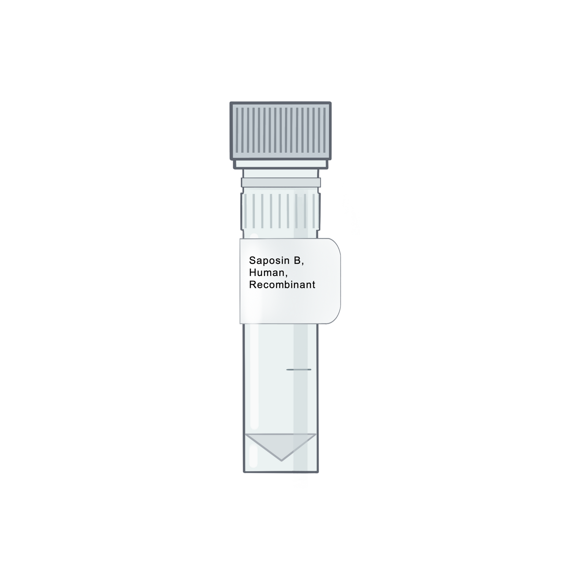 Saposin B, Human, Recombinant - Recombinant Protein | Cryo-electron microscopy