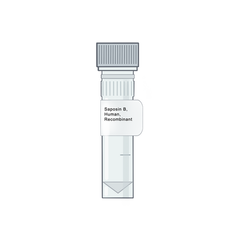 Saposin B, Human, Recombinant - Recombinant Protein