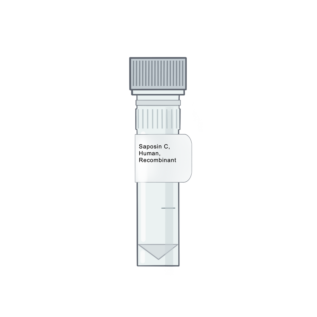 Saposin C, Human, Recombinant - Recombinant Protein