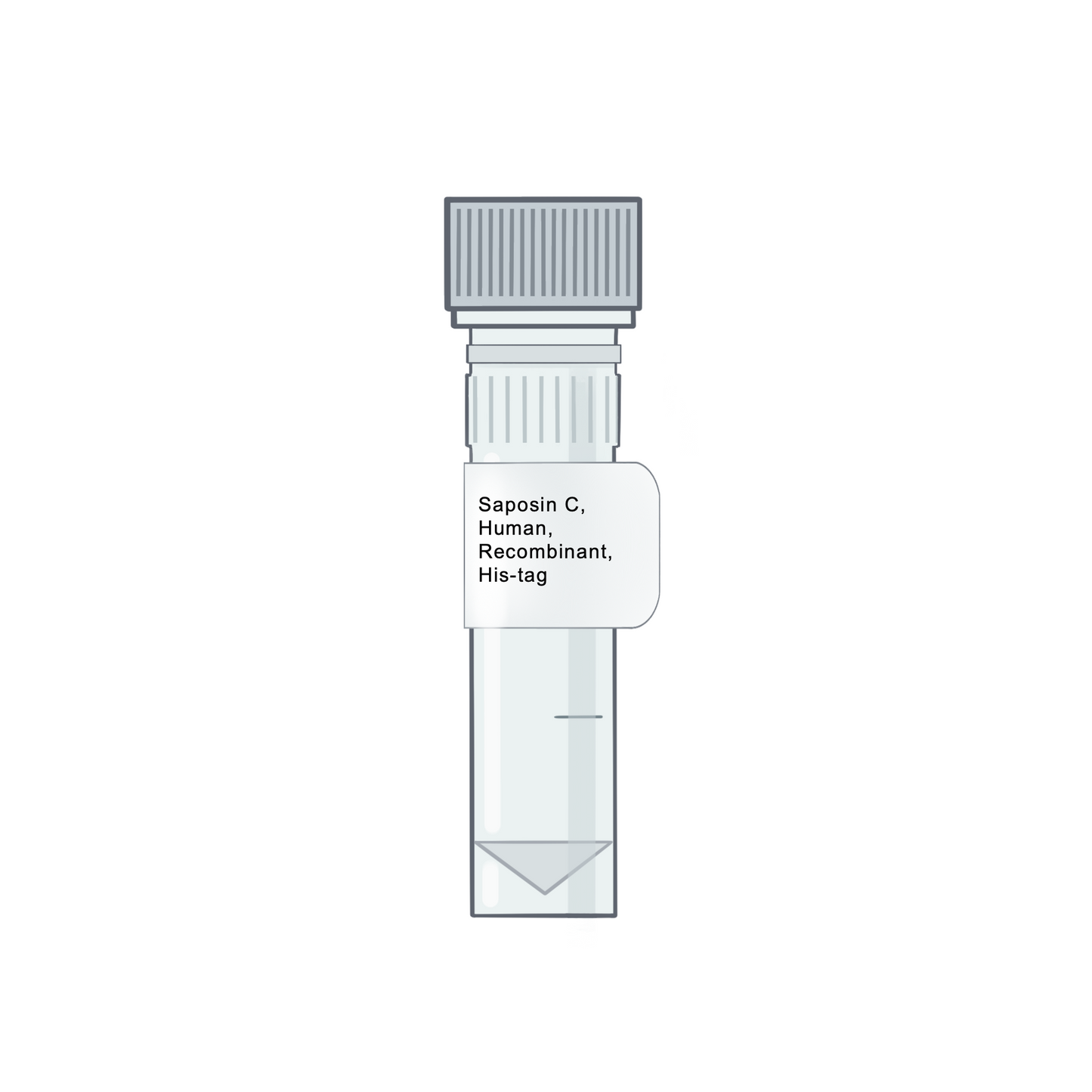 Saposin C, Human, Recombinant, His-tag - Recombinant Protein