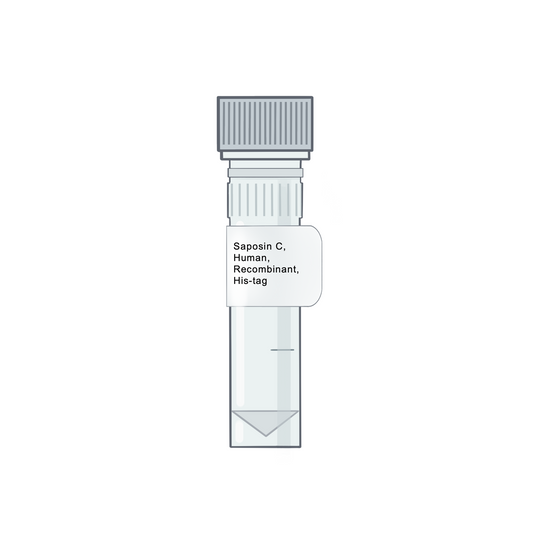 Saposin C, Human, Recombinant, His-tag - Recombinant Protein