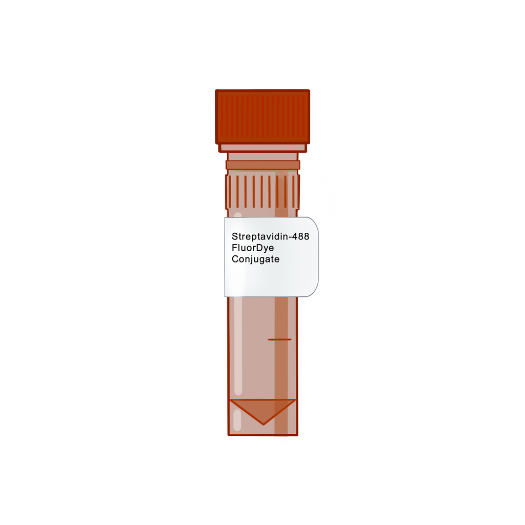 Streptavidin-488 FluorDye Conjugate - Biotinylation Tools & Streptavidins