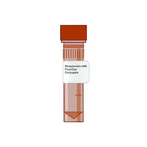 Streptavidin-488 FluorDye Conjugate - Biotinylation Tools & Streptavidins